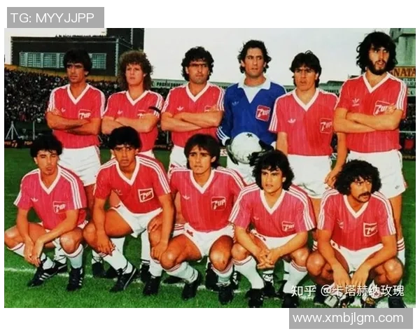 绿茵巨星风采录全面展示世界足球传奇人物